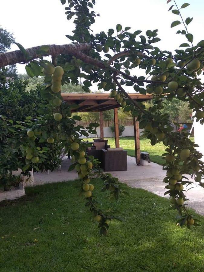 Villa Thanos Marathias  Ngoại thất bức ảnh